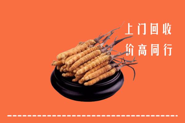 高价求购：滨州市博兴回收散虫草