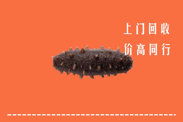 高价求购：滨州市博兴回收海参