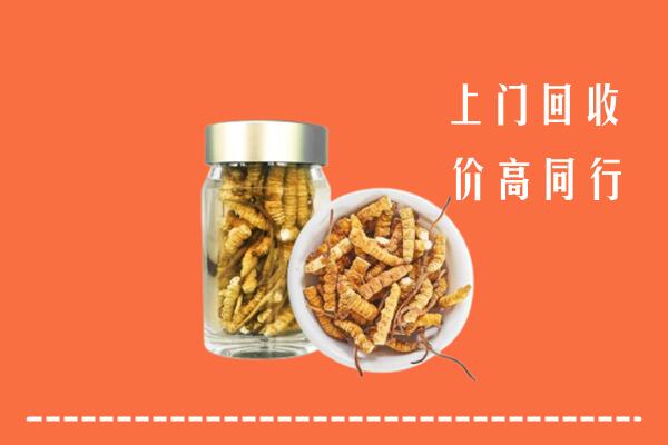 滨州市博兴高价回收冬虫夏草