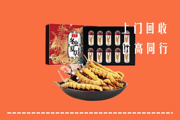 收购行情：滨州市博兴回收虫草